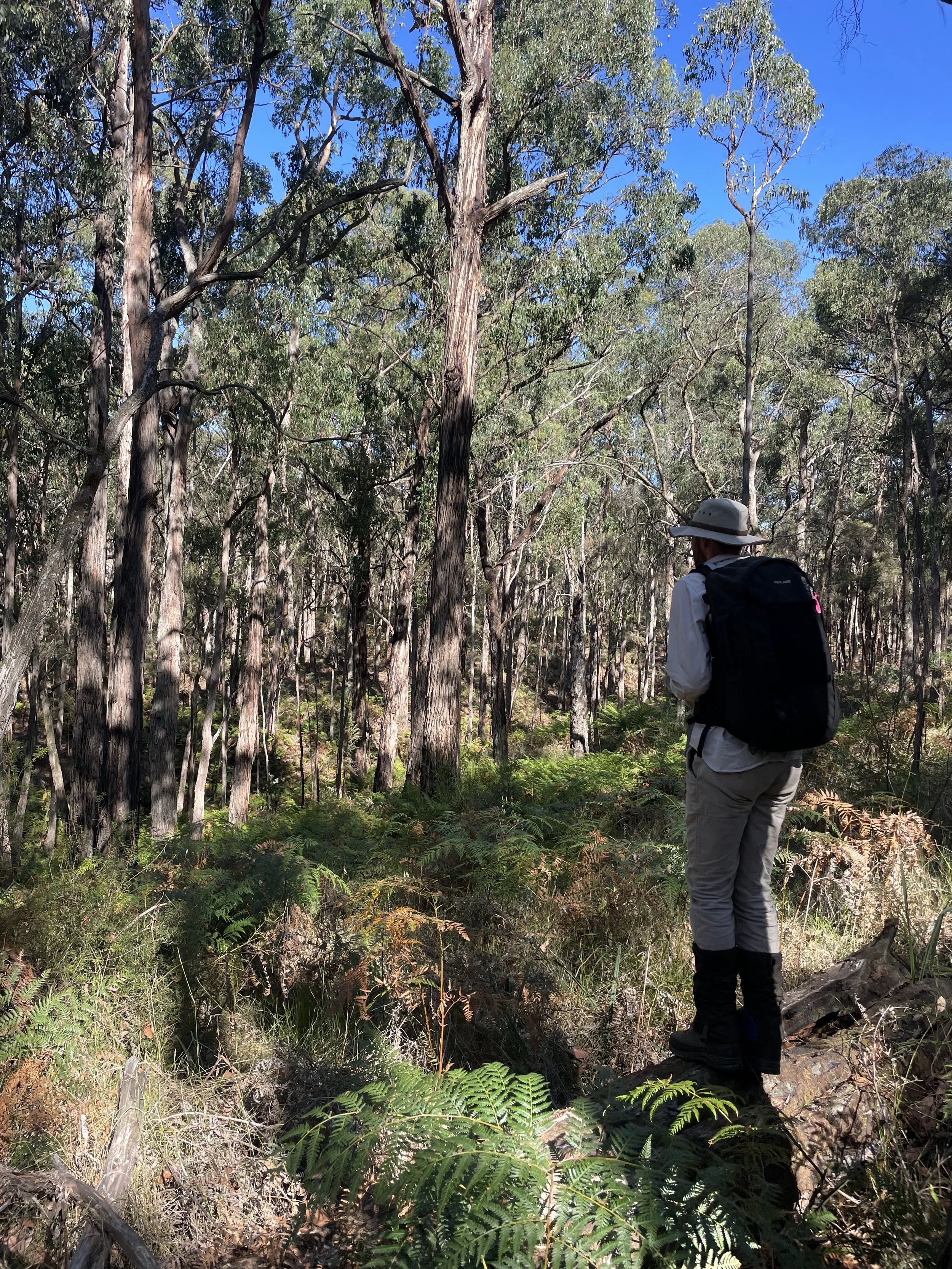 Ecologist in the field_Conservation Ecology Centre.jpg