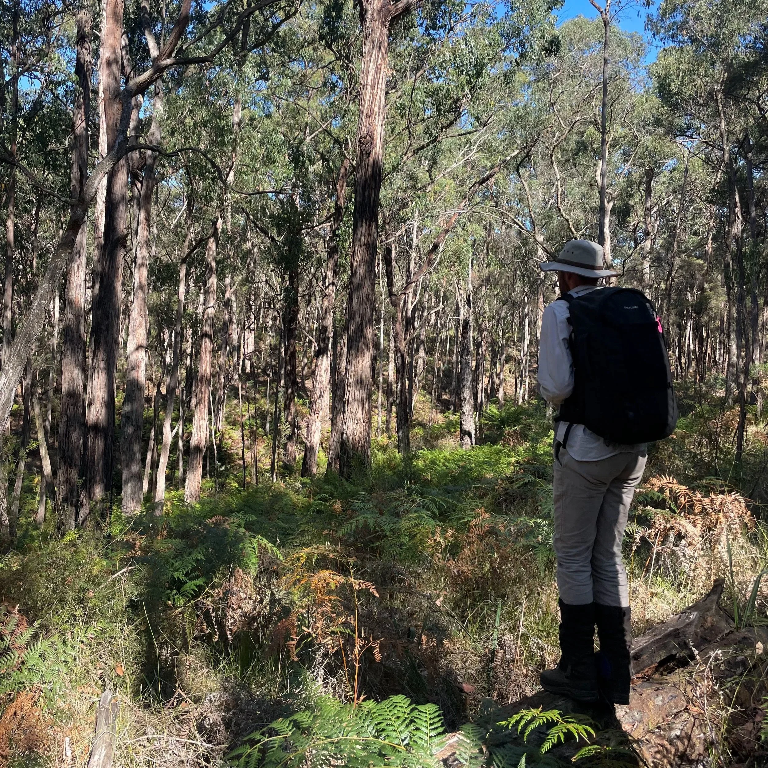 Conservation Project Officer