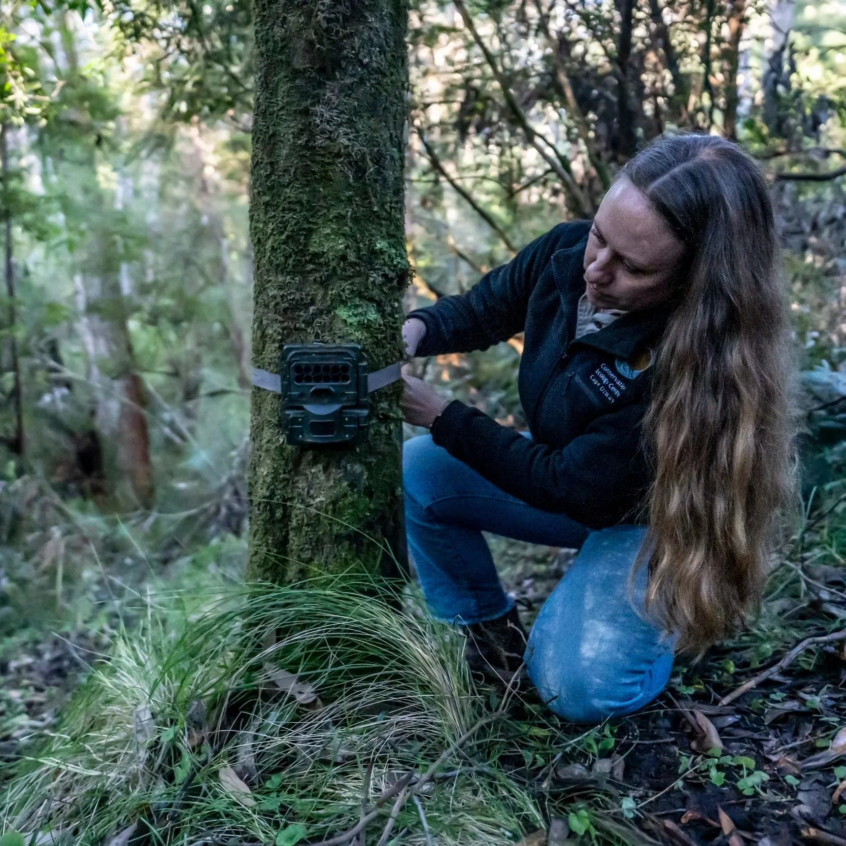 Conservation Project Officer / Statistician