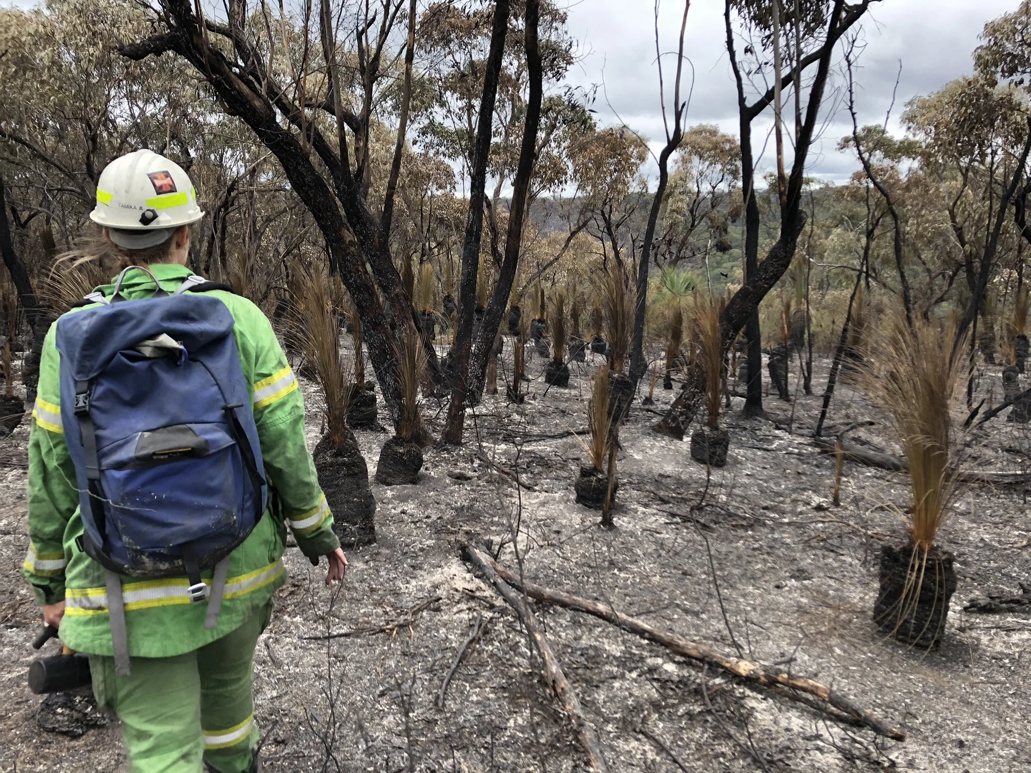 Tamika in the field_Otways fire 2026 Conservation Ecology Centre.jpeg