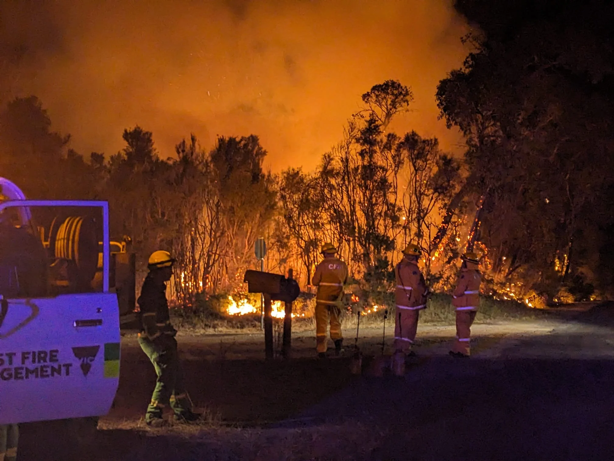 2026 Fire _Tamika_11.jpeg