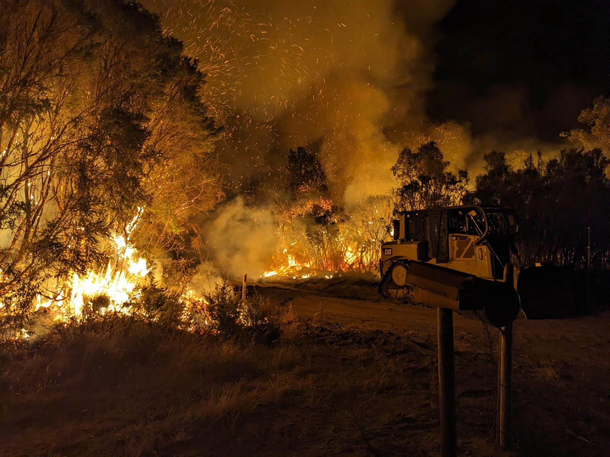 2026 Fire _Tamika_12.jpeg