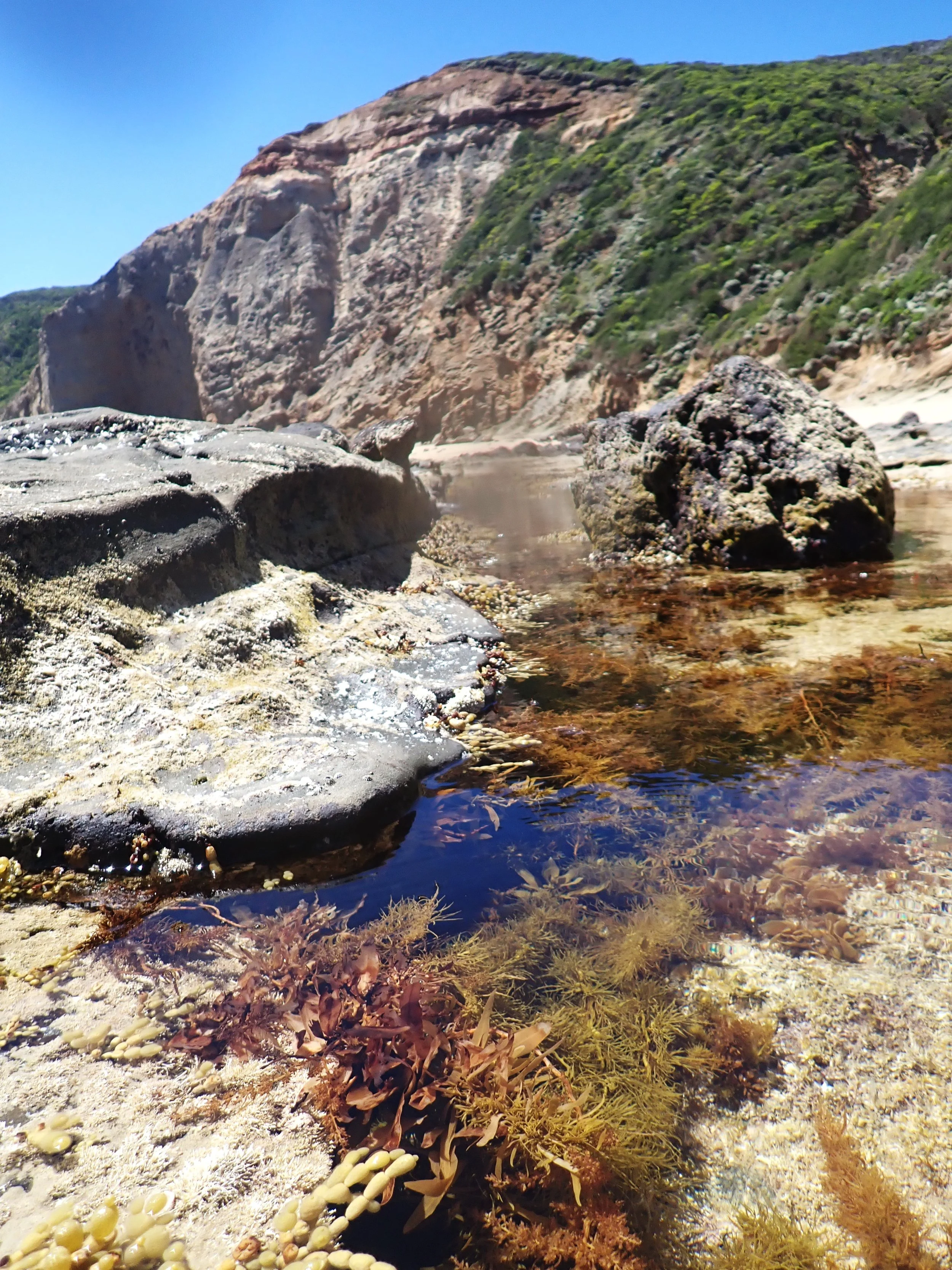 OMER Expands Along the Great Ocean Road