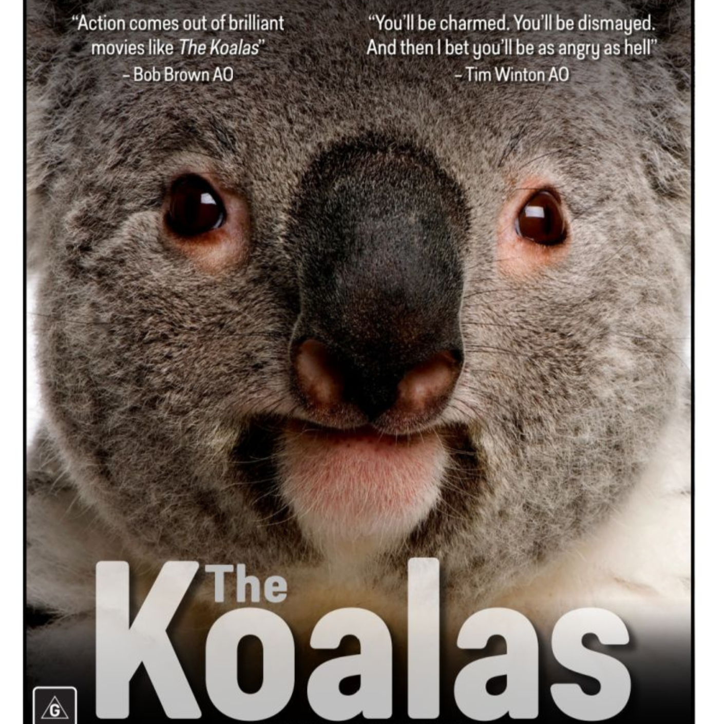 The Koalas - special screening in Lorne - fundraiser for the Otways Bushfire Wildlife & Habitat Recovery Fund.