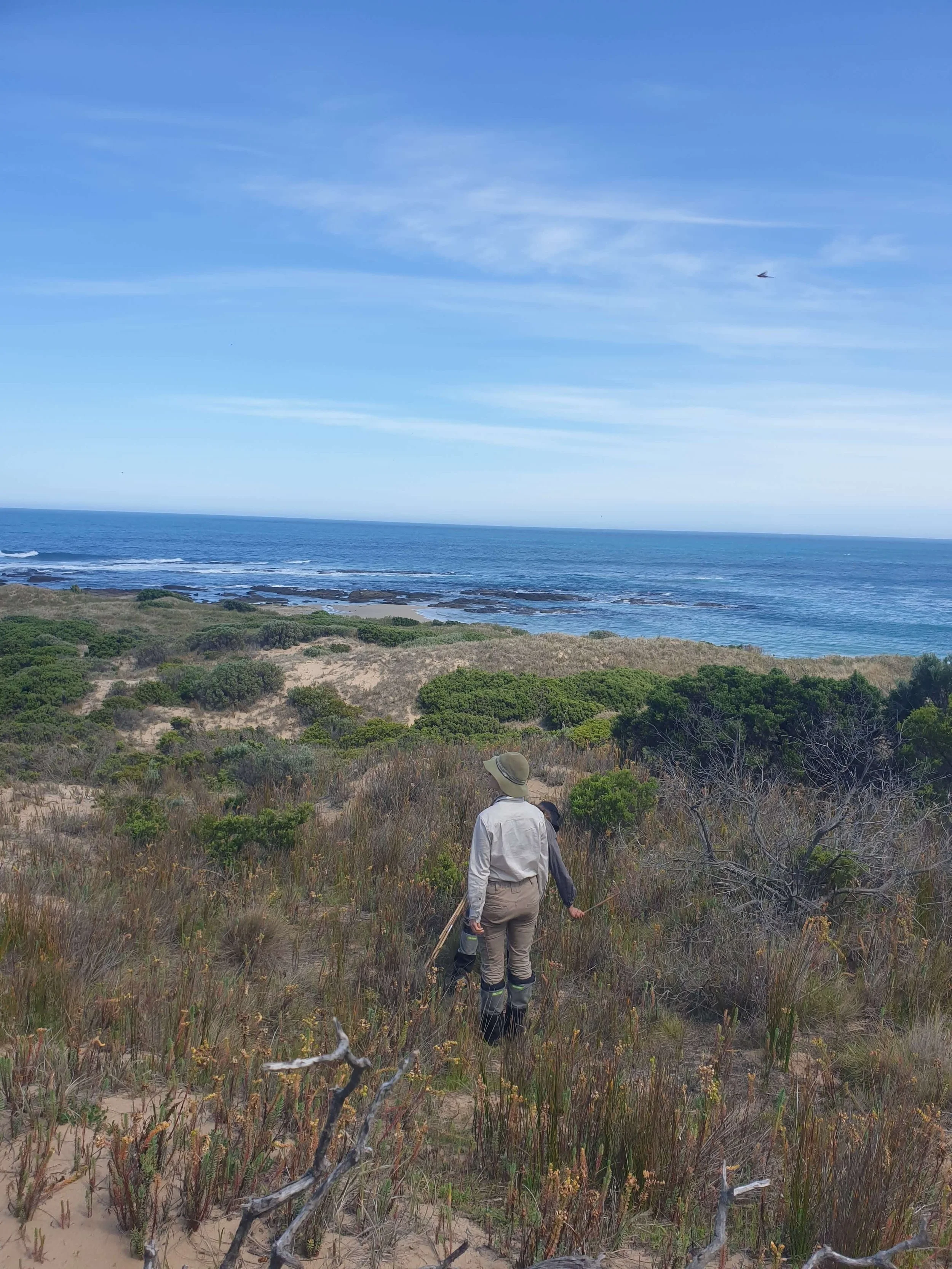 Cape Otway Conservation Ecology Centre.jpg