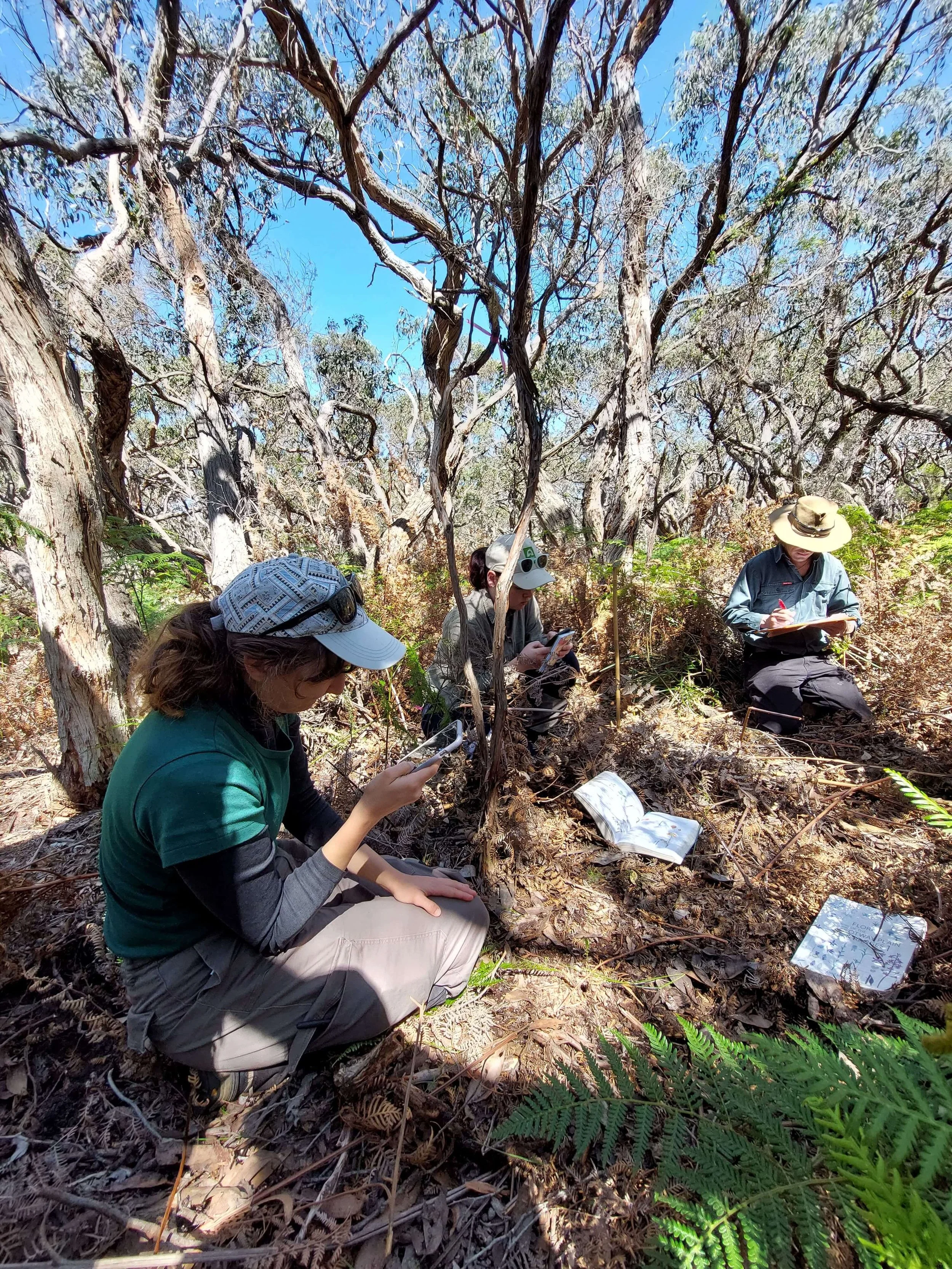 Basline survey Cape Otway - Conservation Ecology Centre.jpg