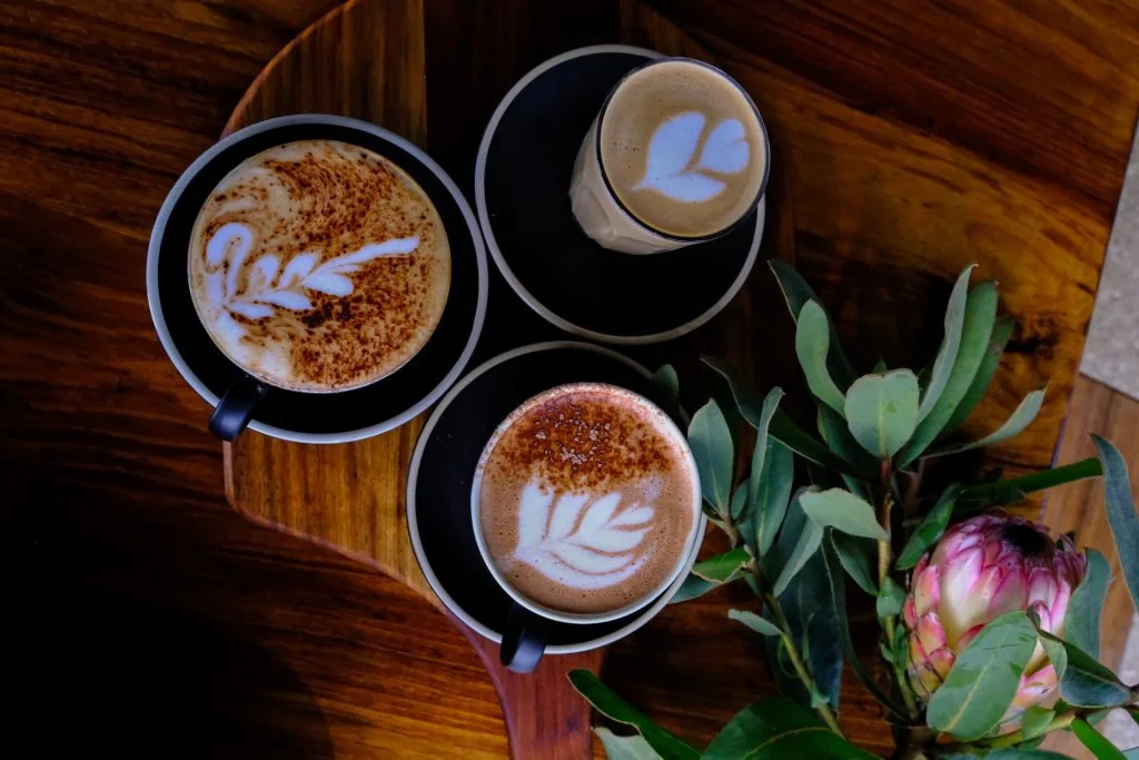 Three cups of coffee with latte art on a wooden table, with a plant and a pink flower nearby.