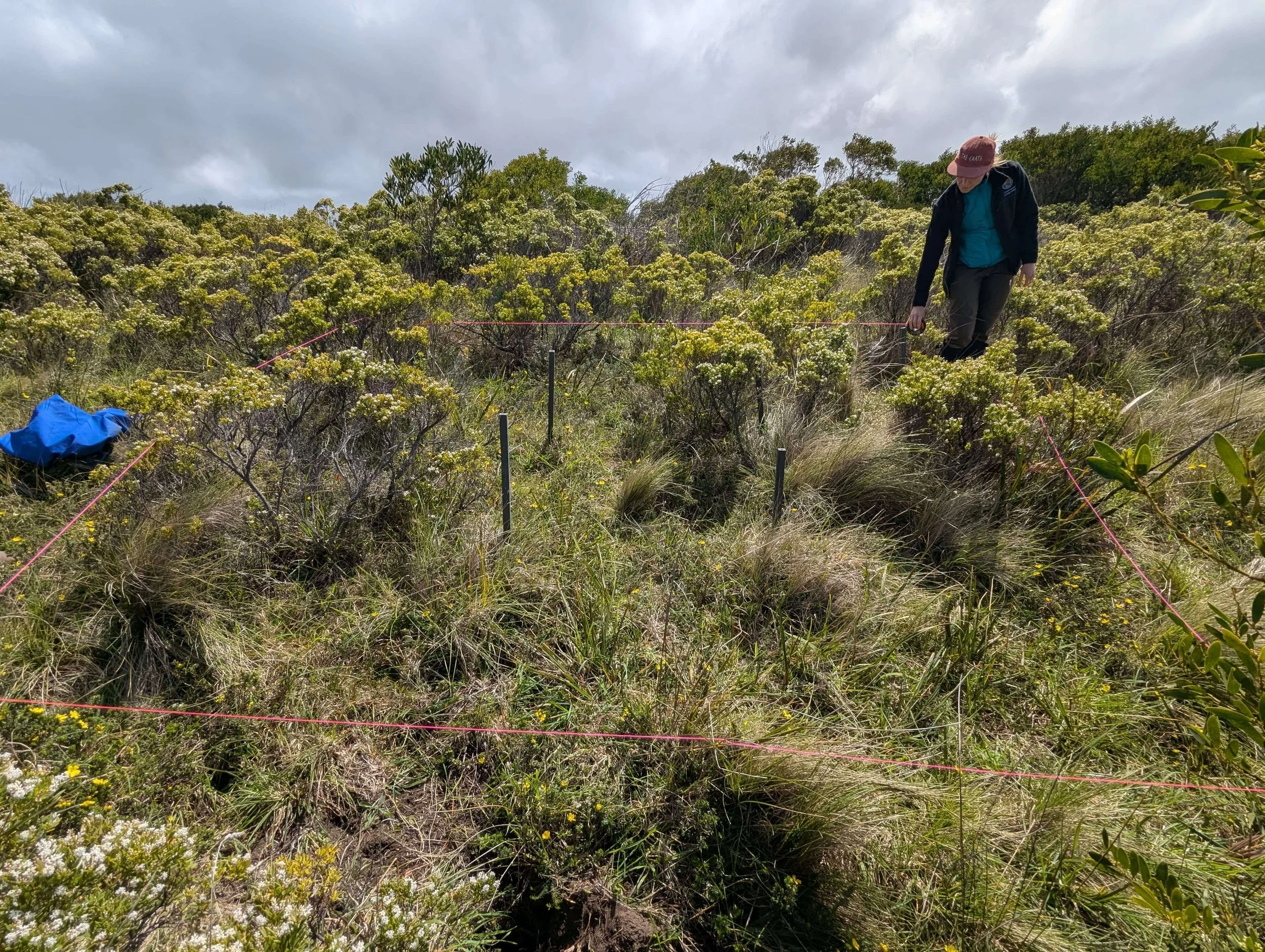Baseline Survey at Cape Otway - CEC.jpg