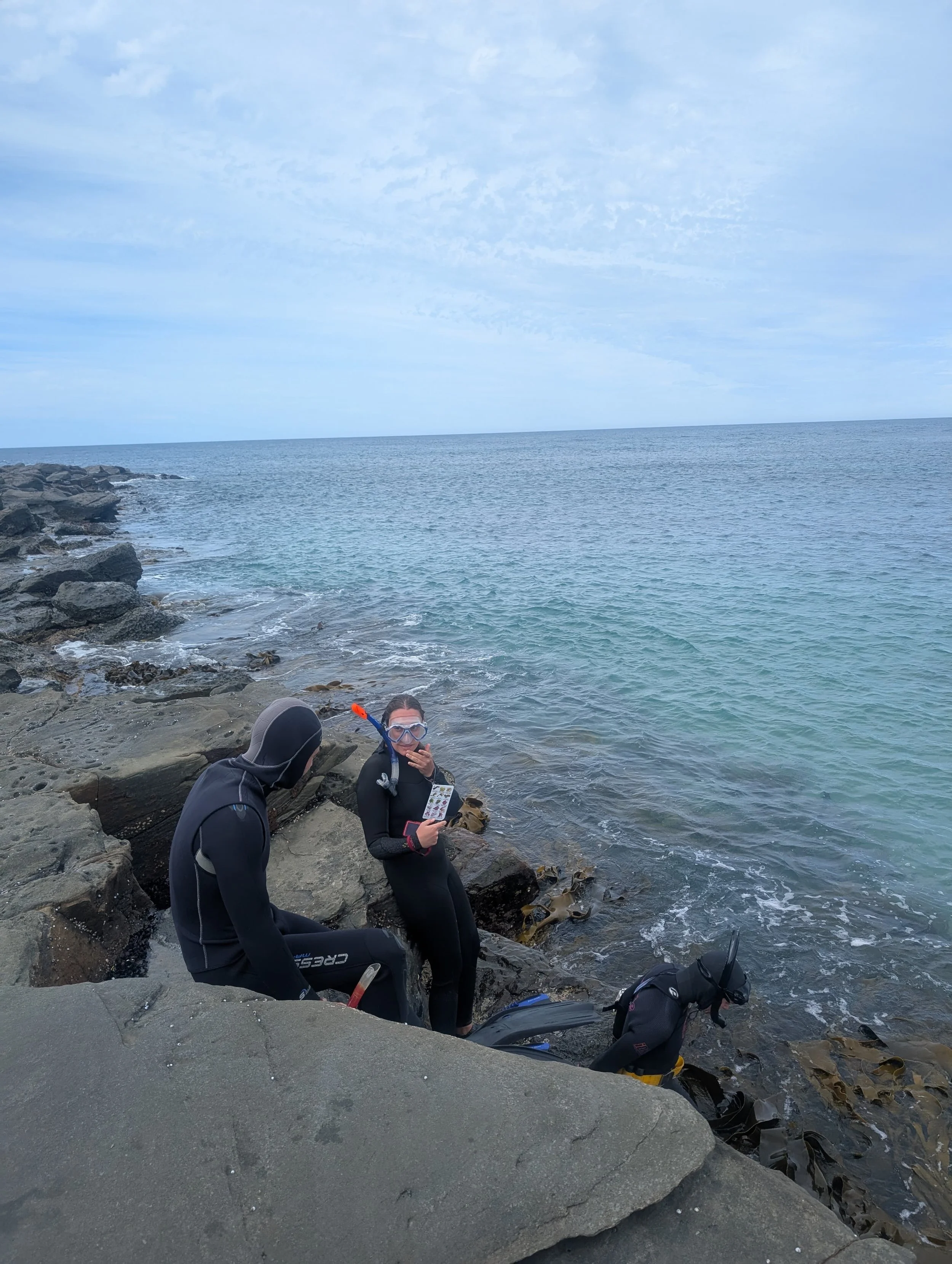 OMER Diving Volunteers.jpg