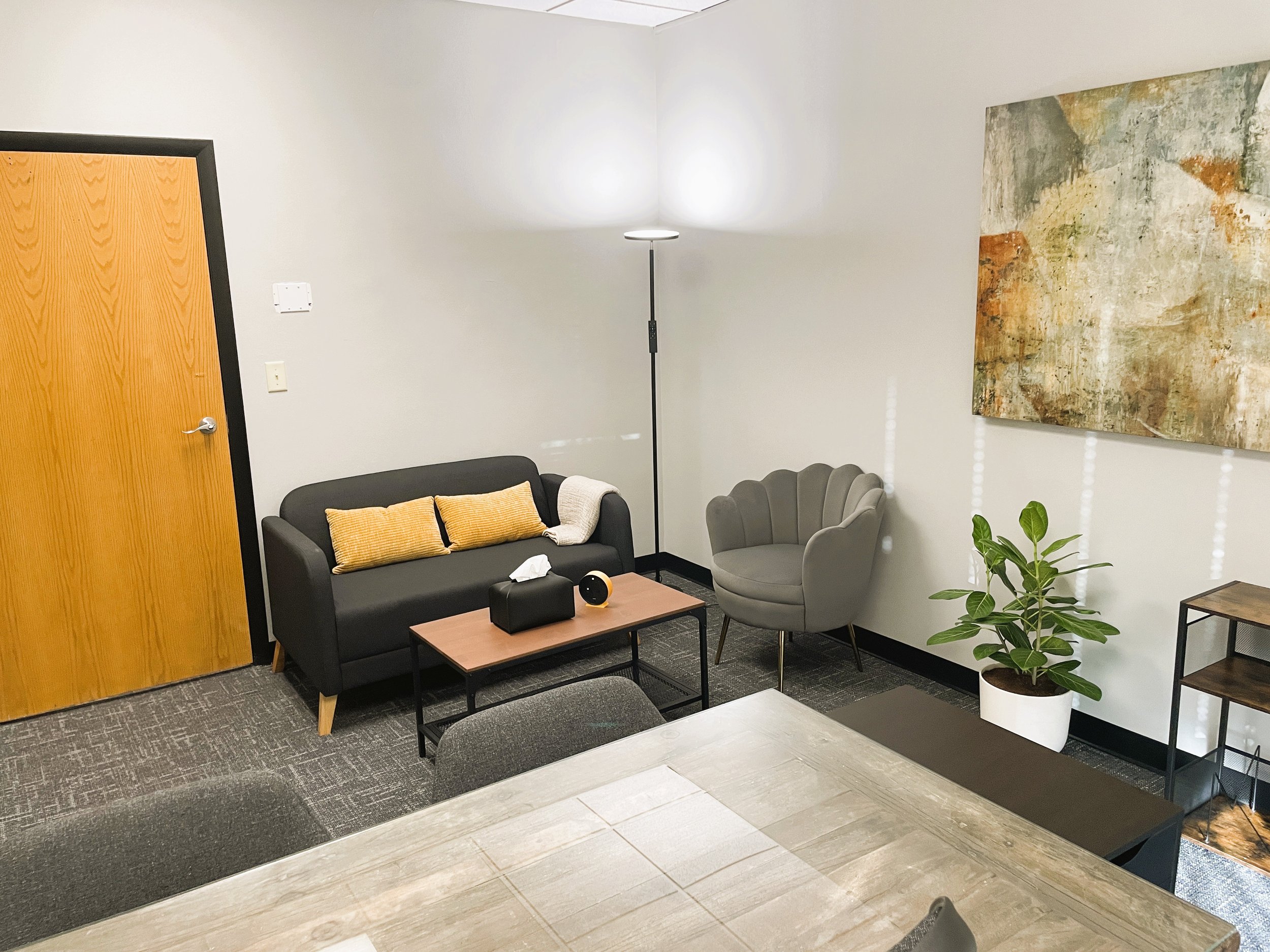 TheoMind Psychiatry Office - 415 W Golf Rd, Arlington Heights, IL