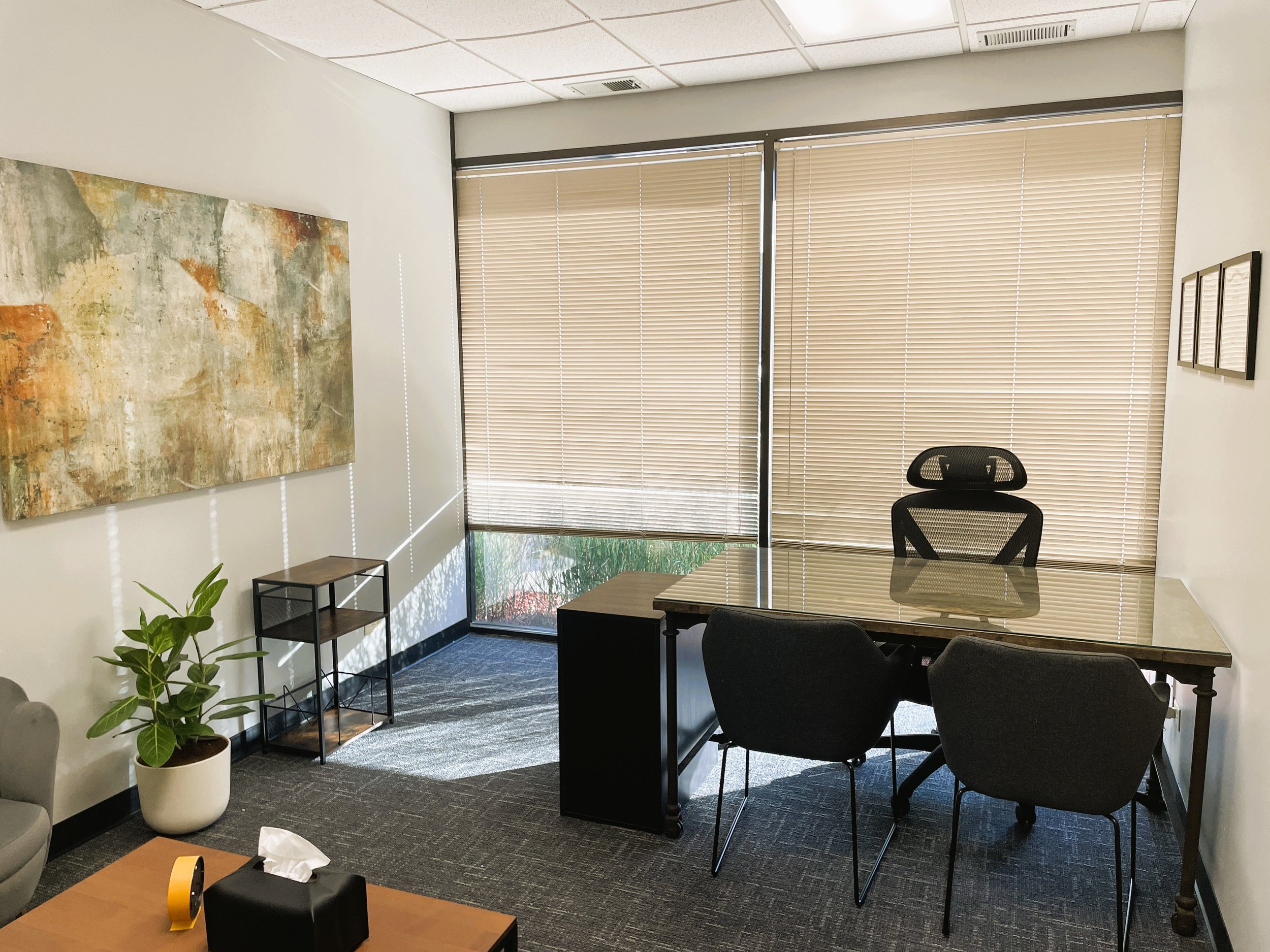 TheoMind Psychiatry Office - 415 W Golf Rd, Arlington Heights, IL