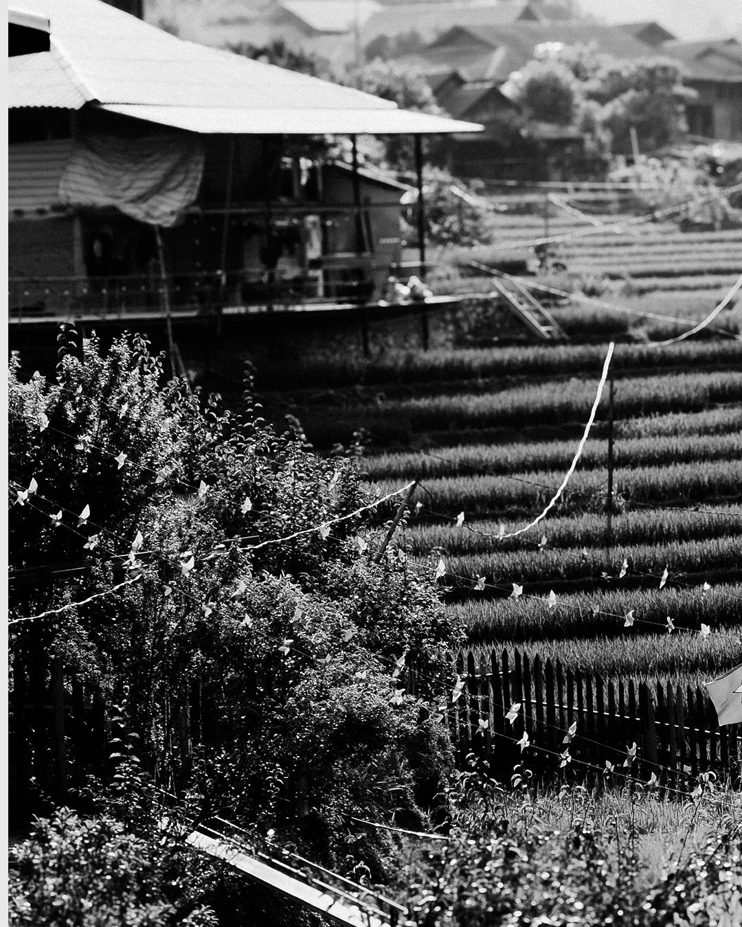 Vietnam_Monochrom_Series_06.jpg