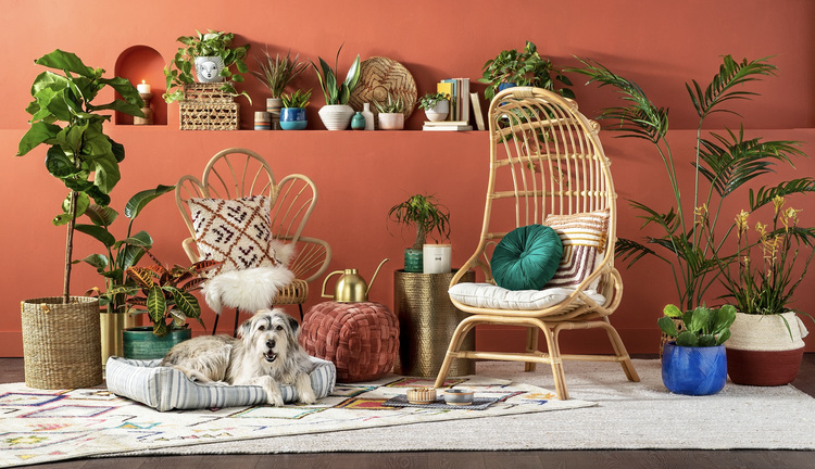 Screenshot-2024-01-18-at-4-58-21 PM (5).png