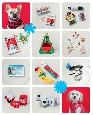Holiday_2020_giftguide copy 2.jpg