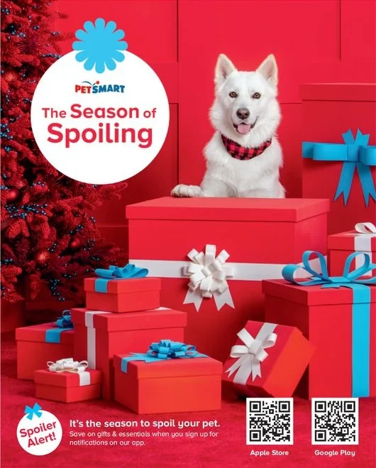 Holiday_2020_giftguide.jpg