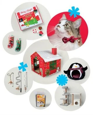 Holiday_2020_giftguide copy.jpg