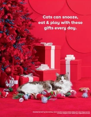 Holiday_2020_giftguide-1.jpg