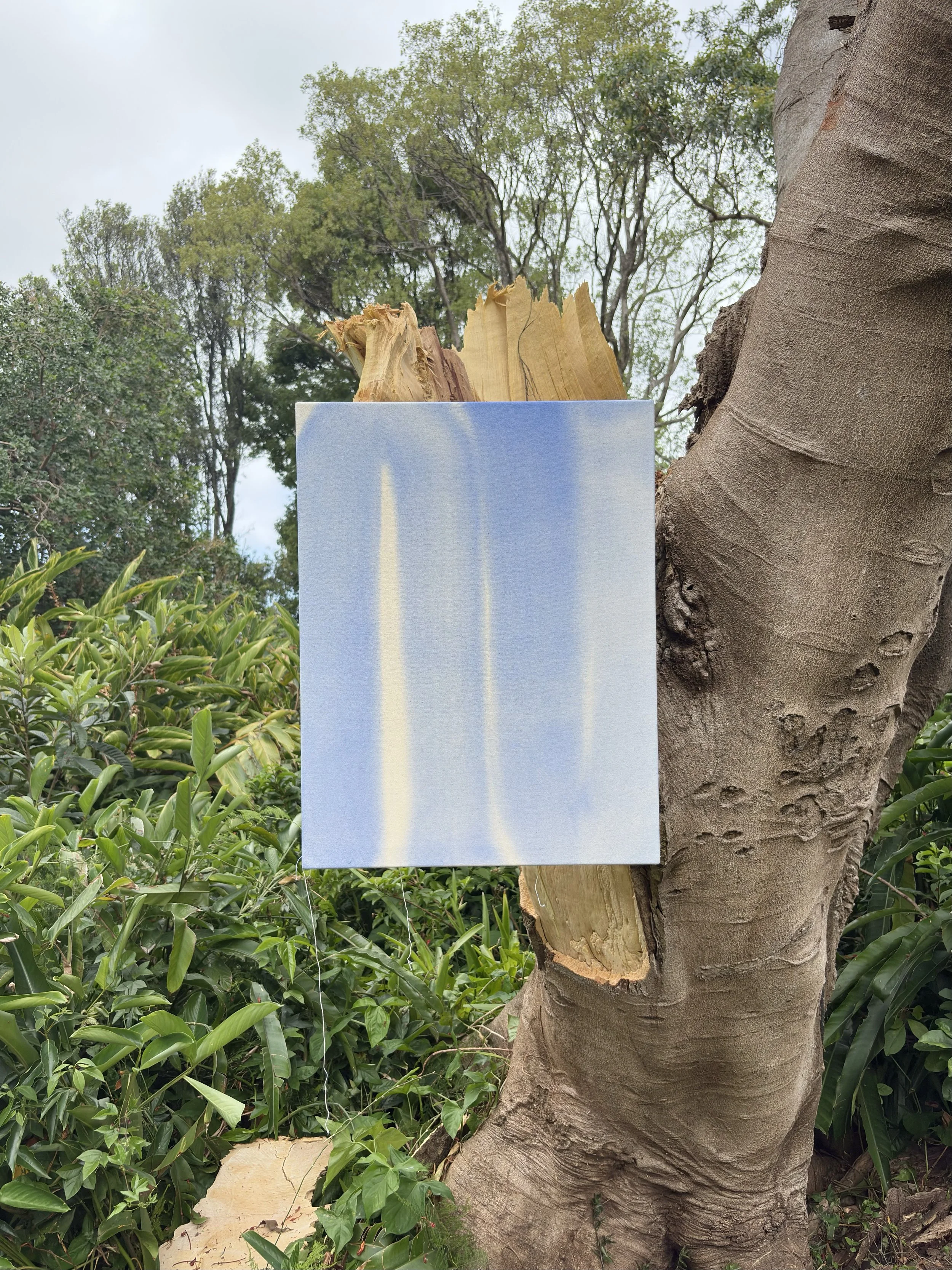 Skye Jamieson Agnes December Painting 2.1 December 25.jpg