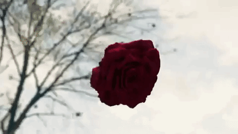 Big Sean GIF-downsized_large.gif