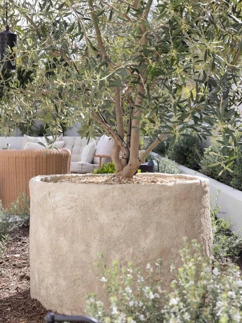 We heard you! Limestone is now available @credo.75 Next shipment arriving late August. Customize any size or shape.
✨20% off all pre-orders ✨
DM for details or email us to hello@credo75.com
victoria, yyjdesign, garden, interiordesign