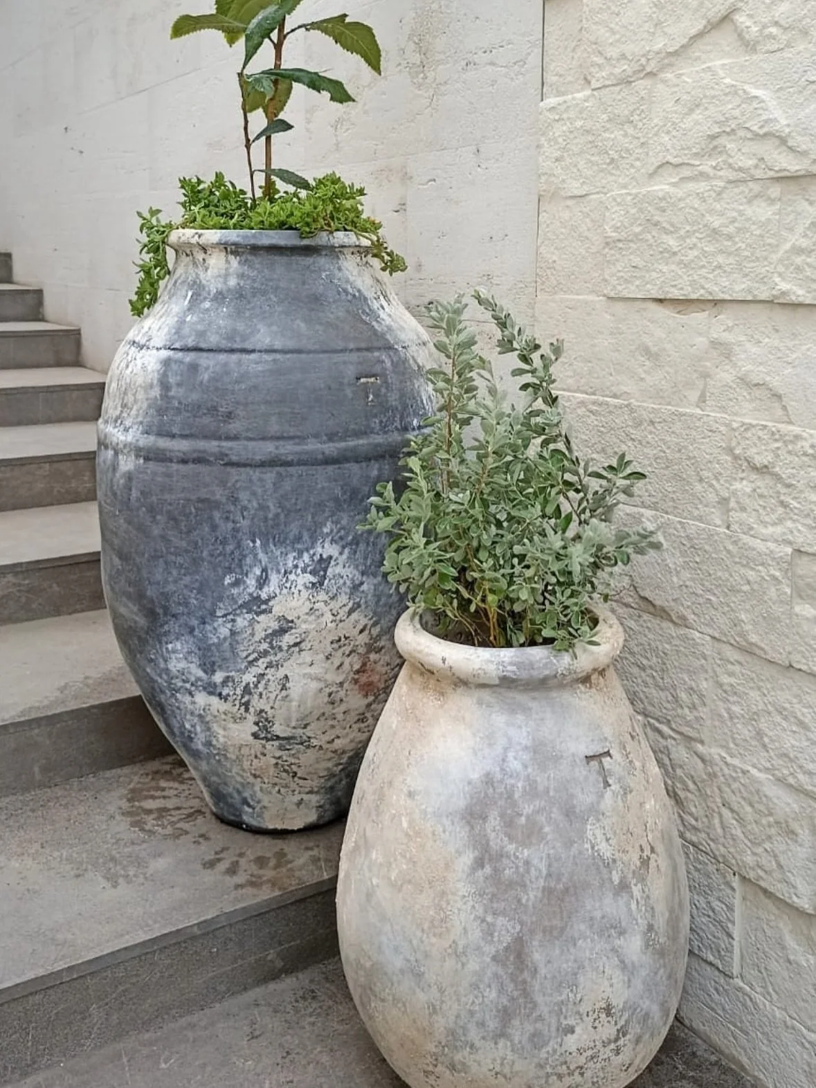 We have the most beautiful handmade pots for all your indoor and outdoor plants!
We are open today until 6:00 and back again Wednesday at 11:00 🌳
See you soon!