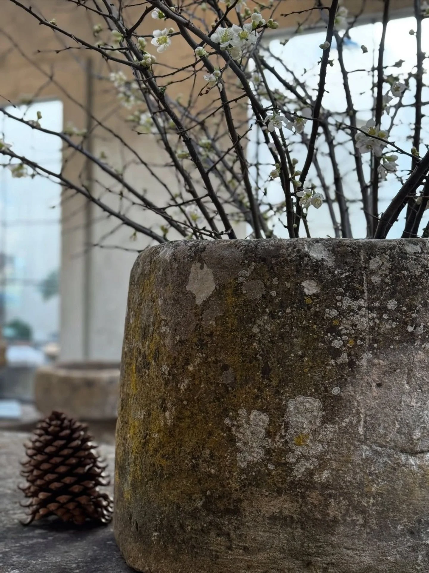 Happy Sunday! ☀️ Spring is definitely in the air at the shop. We just restocked on gorgeous planters, pots, and limestone troughs to get your garden ready. If you need a hand with design or just want to browse the new arrivals, we&rsquo;re open 10~4 