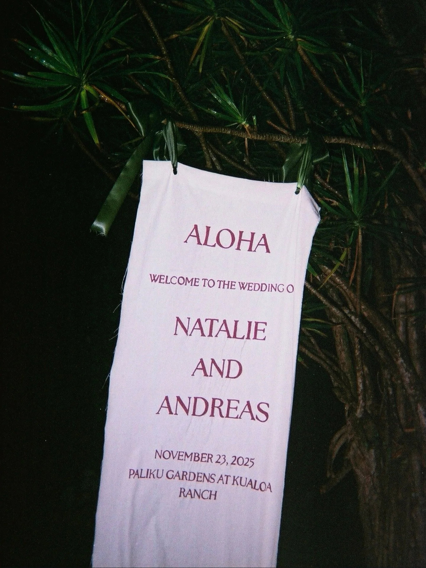 Natalie + Andreas wedding at Palikū Gardens

#35mm #oahuwedding