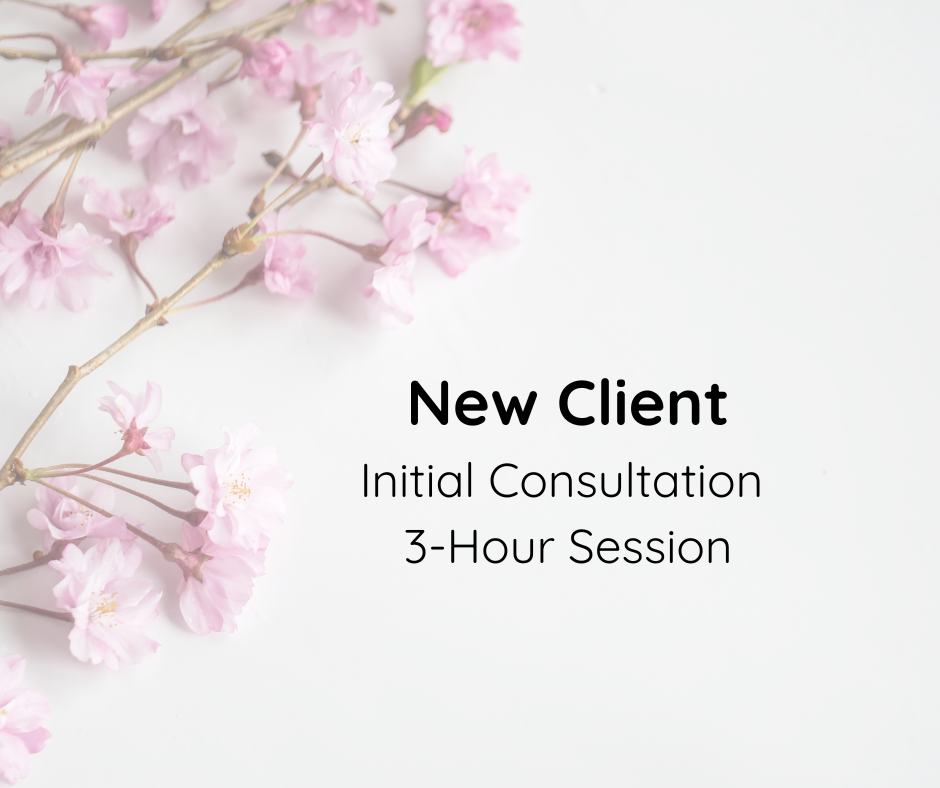 New Client: Initial Consultation + 3-Hour Session
