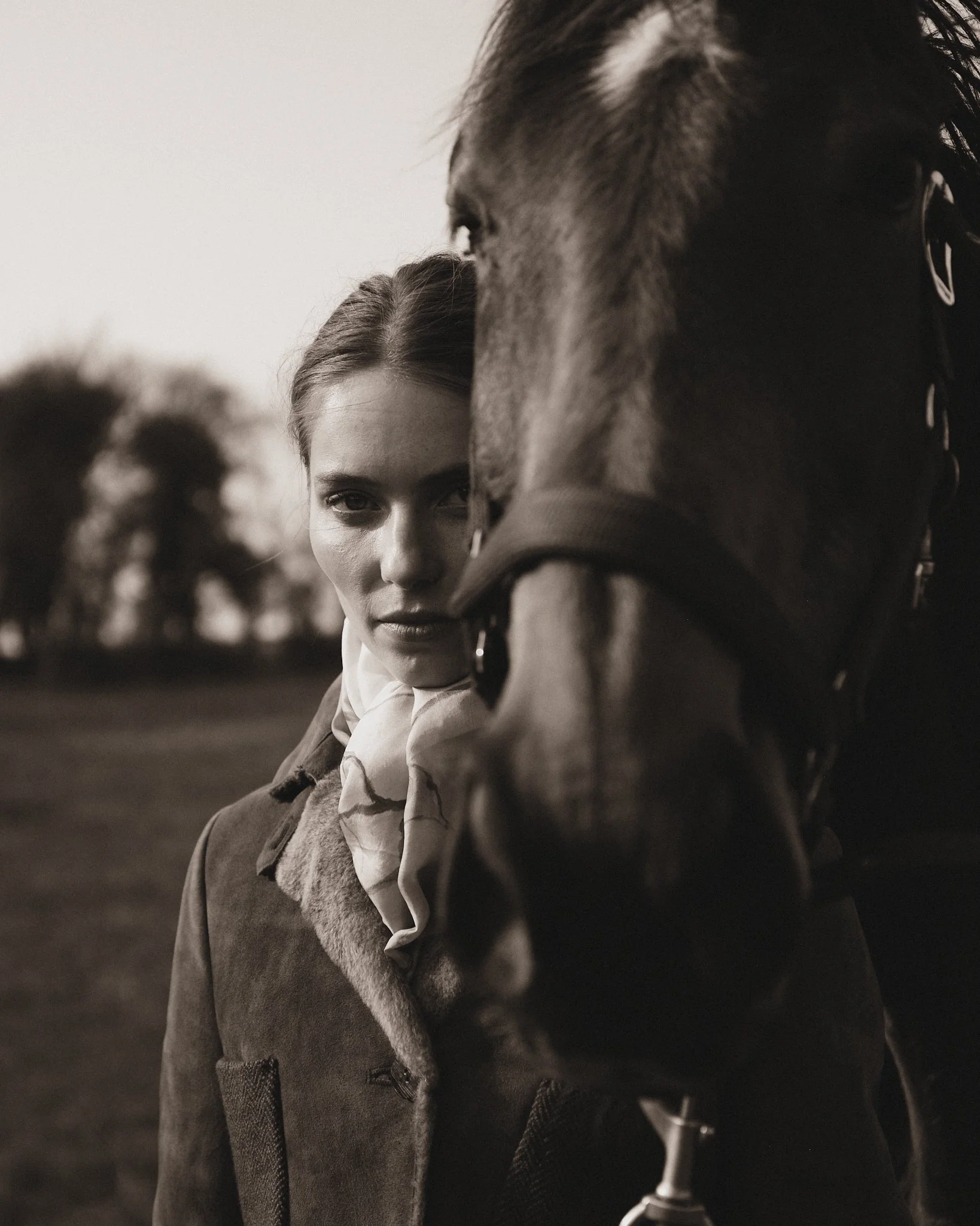 Equestrian spirit.
