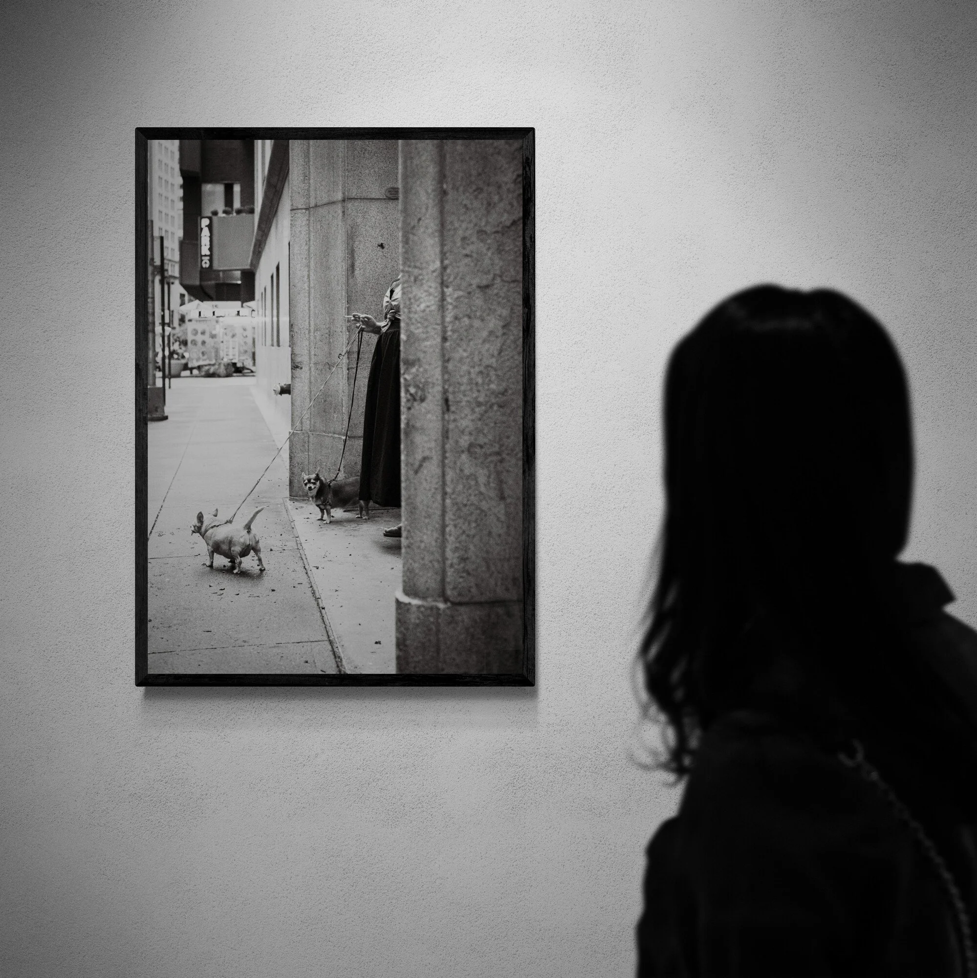 Dog Walker - Gallery.jpg