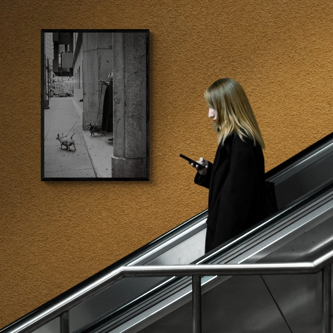 Dog Walker - Escalator.jpg