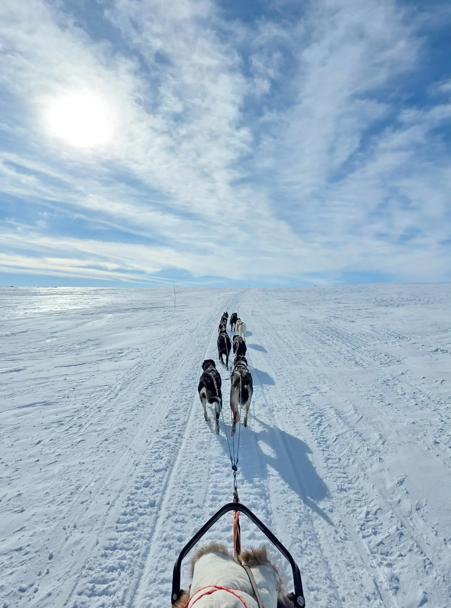 Responsible husky safaris Ylläs