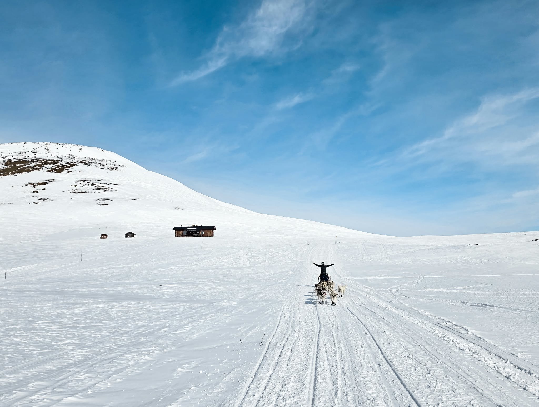 Ethical husky safaris Lapland