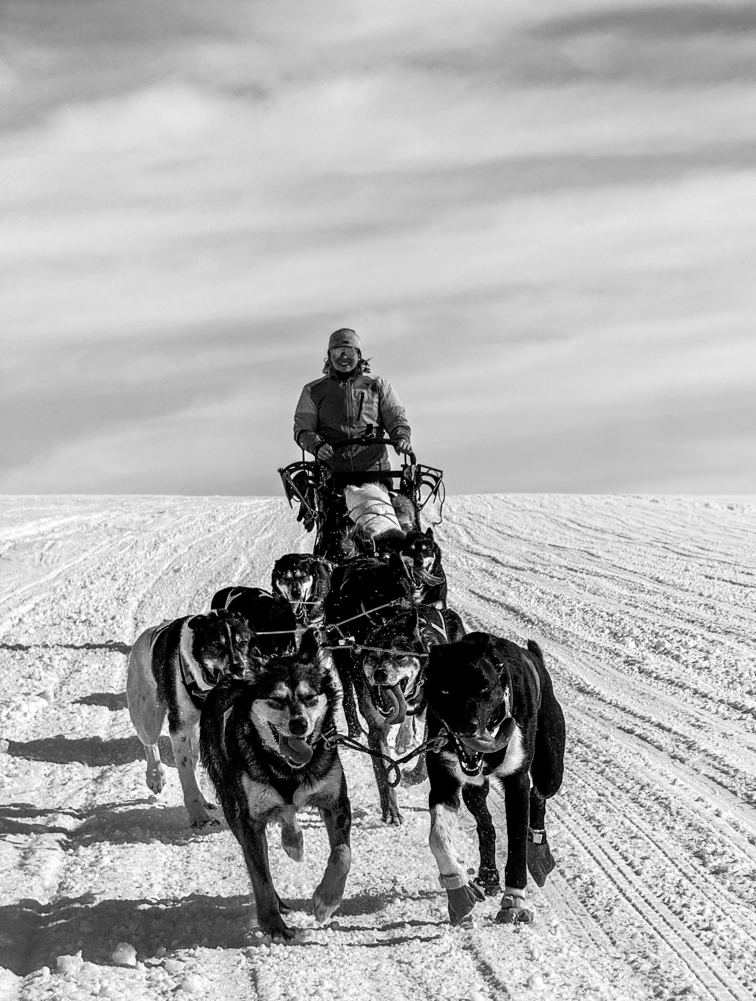 Family husky activities Ylläs.