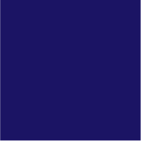 #1b1464 Navy Blue