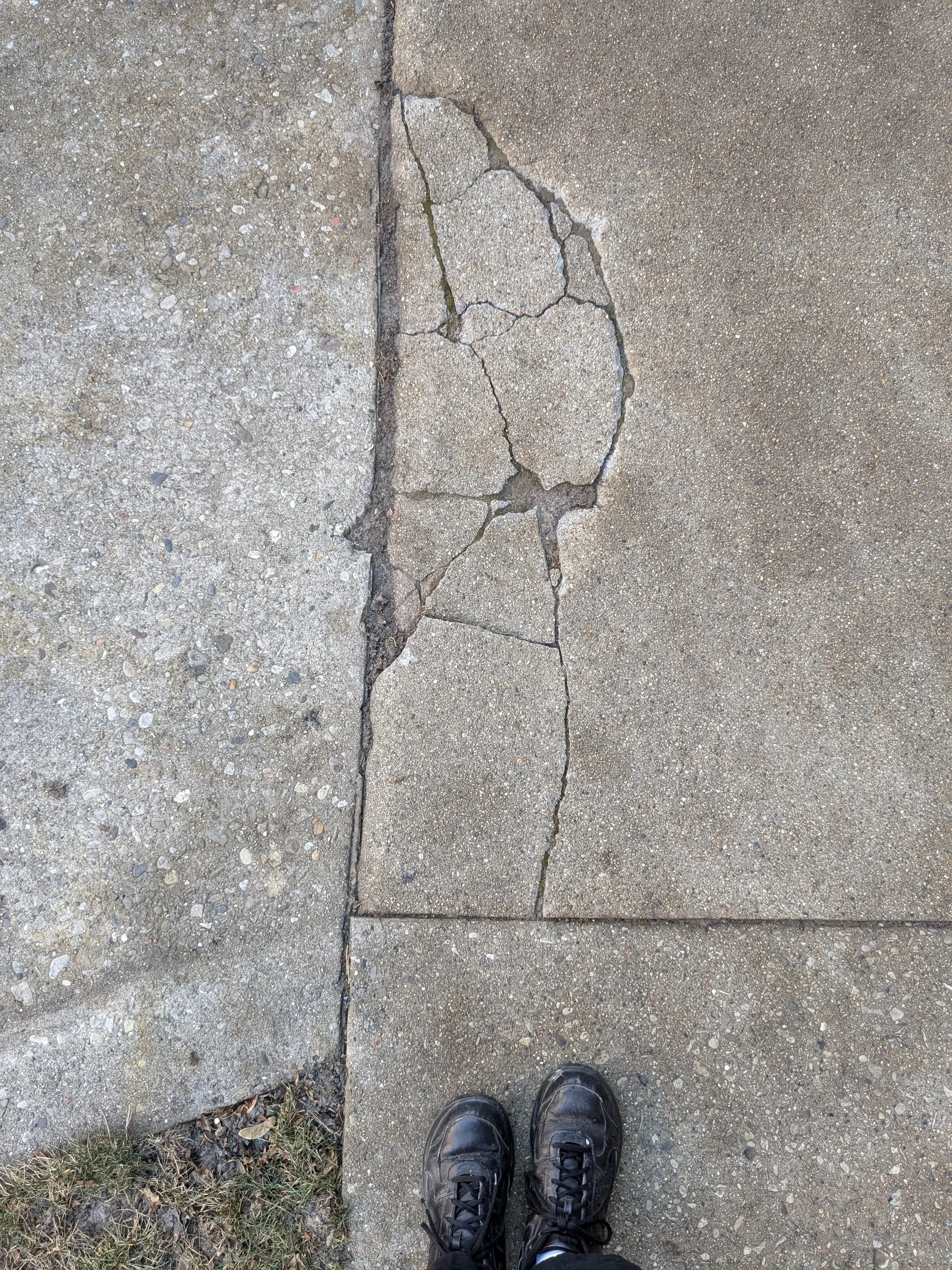 Cracks in the Concrete - Josiah Ellner (1).jpg