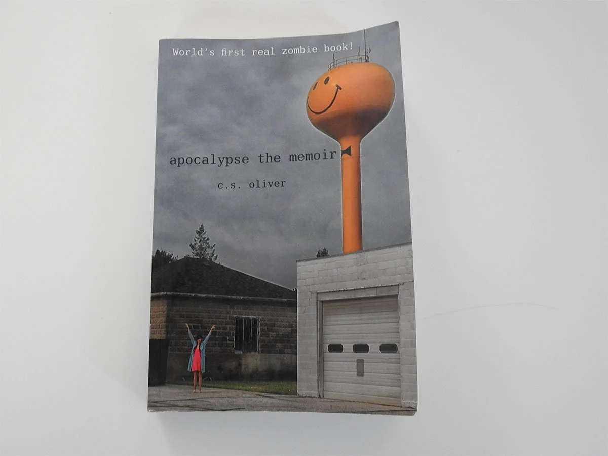 Summer Reads_Larissa Hikel_5 - Larissa Hikel.jpeg