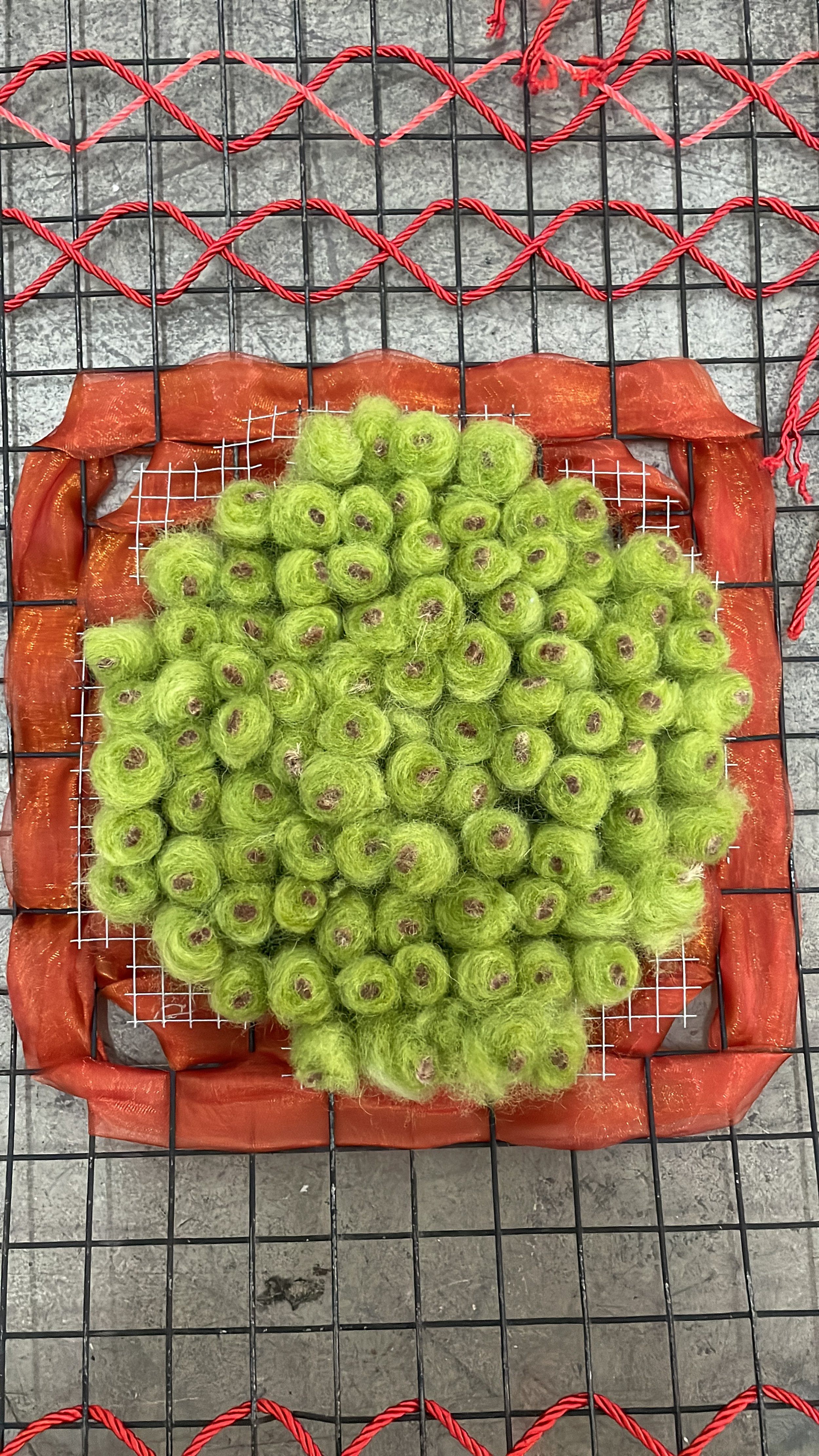 2 - 5E00352A-B1E1-4C24-A100-115FC8BCE46D.JPG