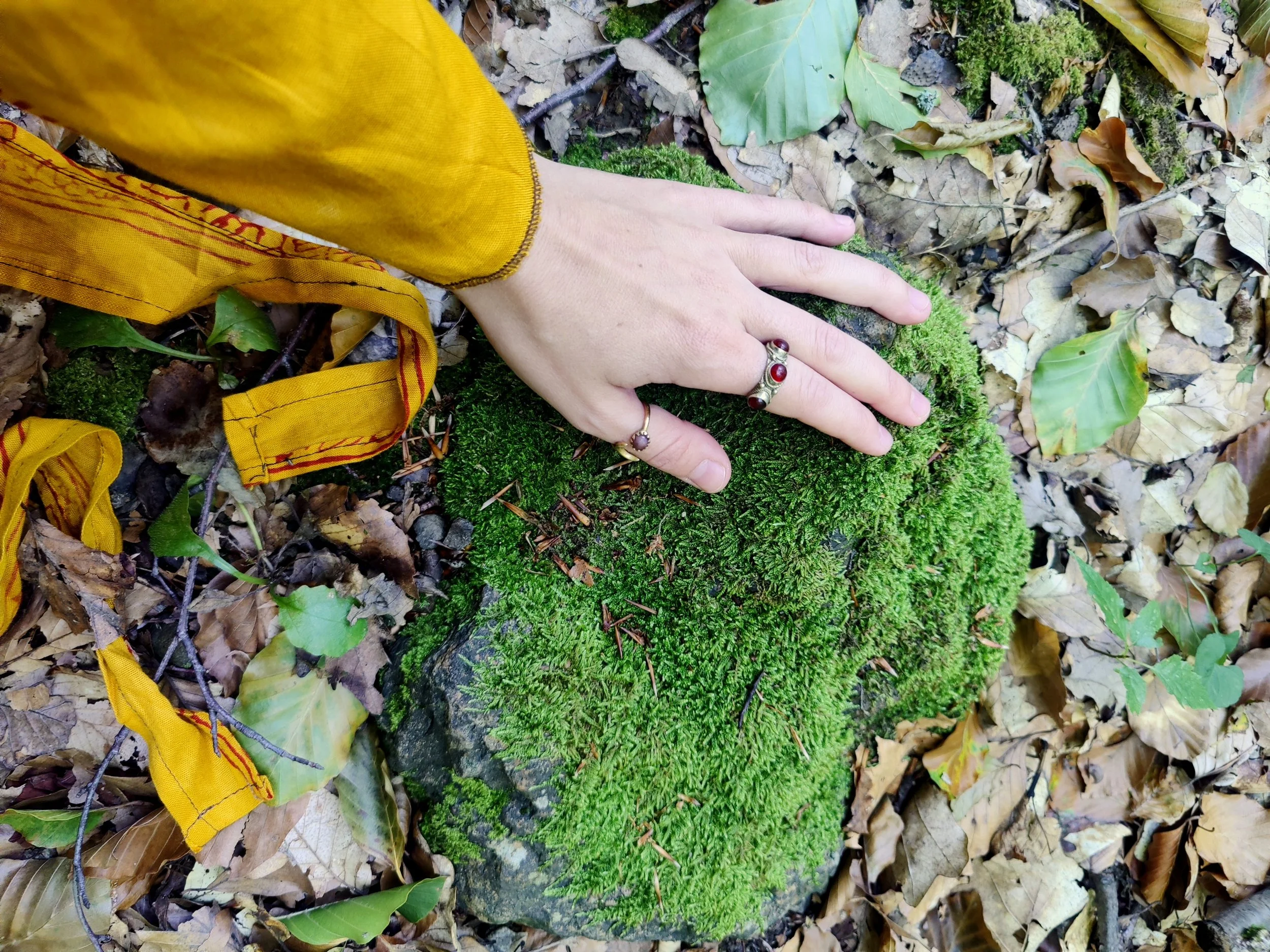 4 - IMG_20250823_101700~2.jpg