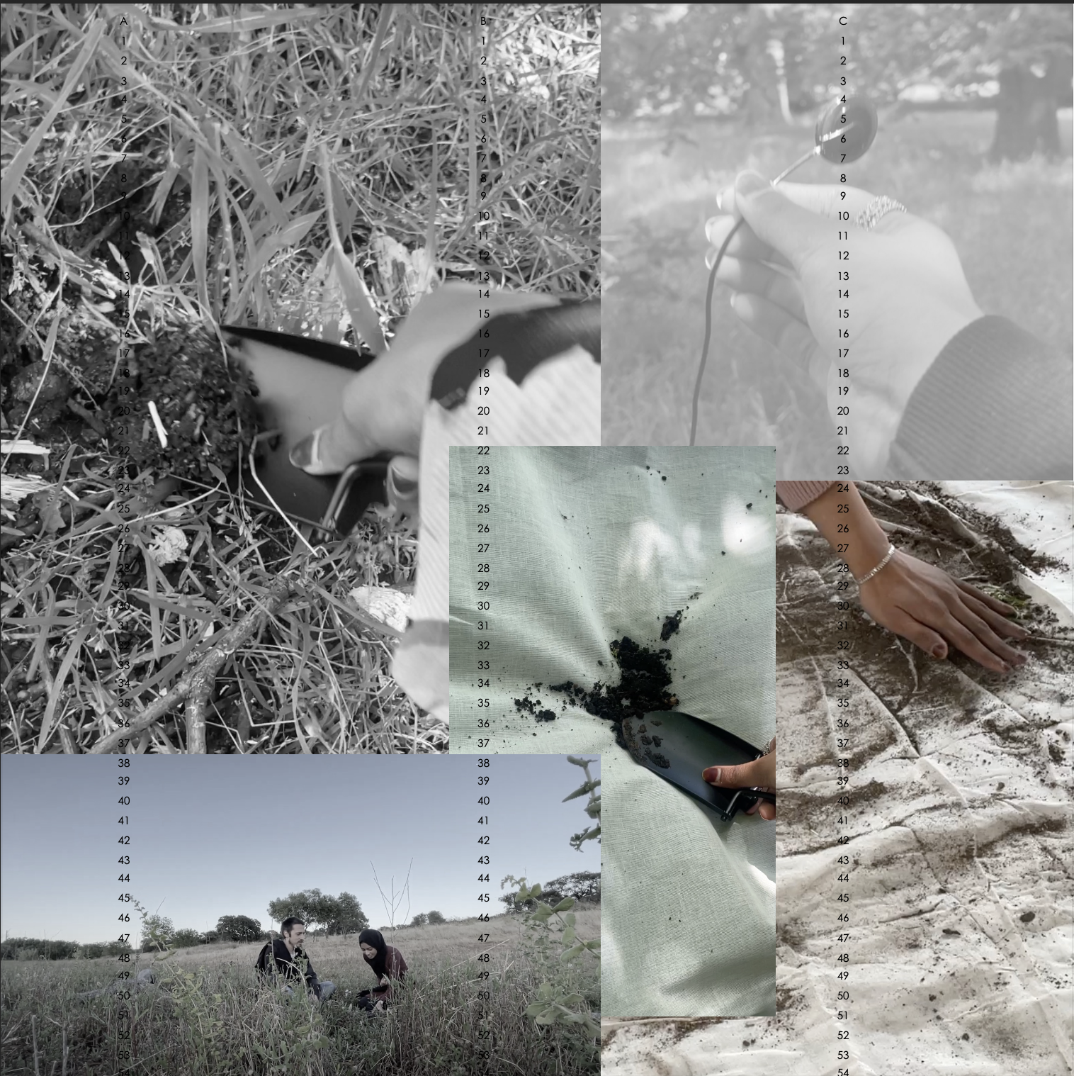 4 - AsfahHamid+-+Mycelial+Polyphonies+-+Page+4.png