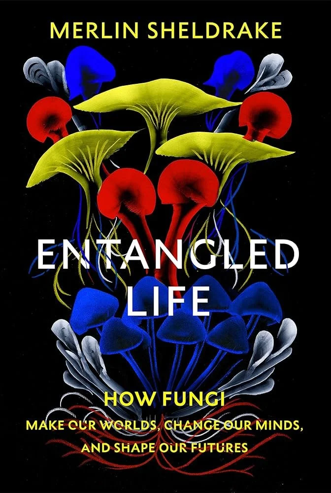 3 - Entangles+life.jpg