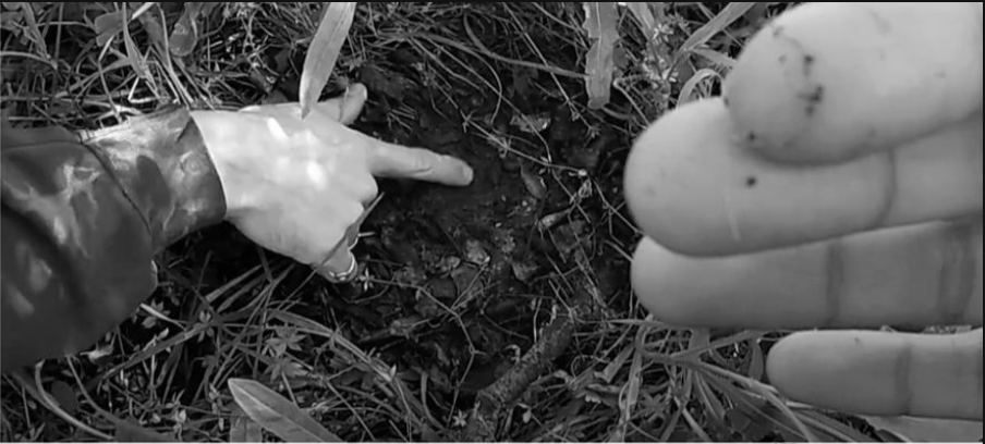 1 - Close+up+soil+investigation.png