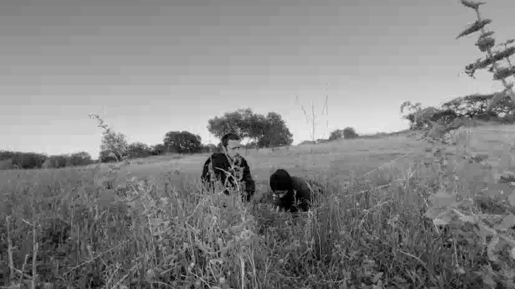 3 - Pedro+Horta+fieldwork.png