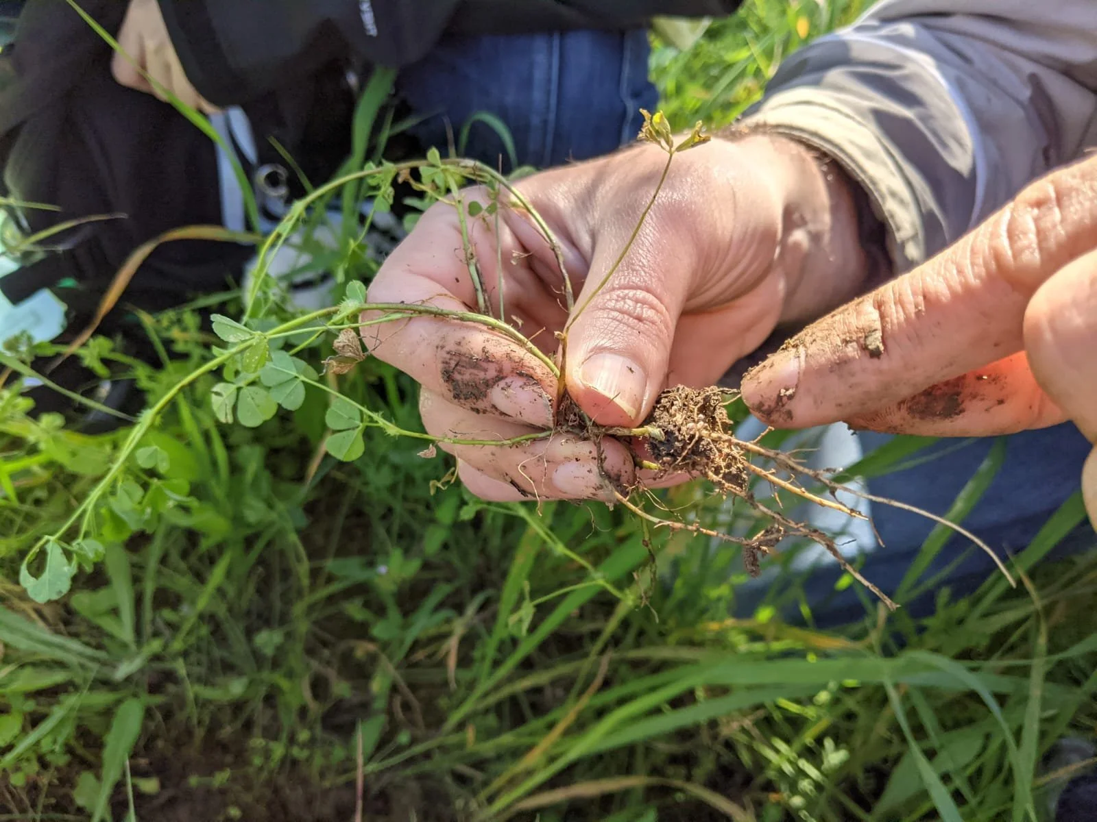 1 - The+underside+of+Relation.JPG