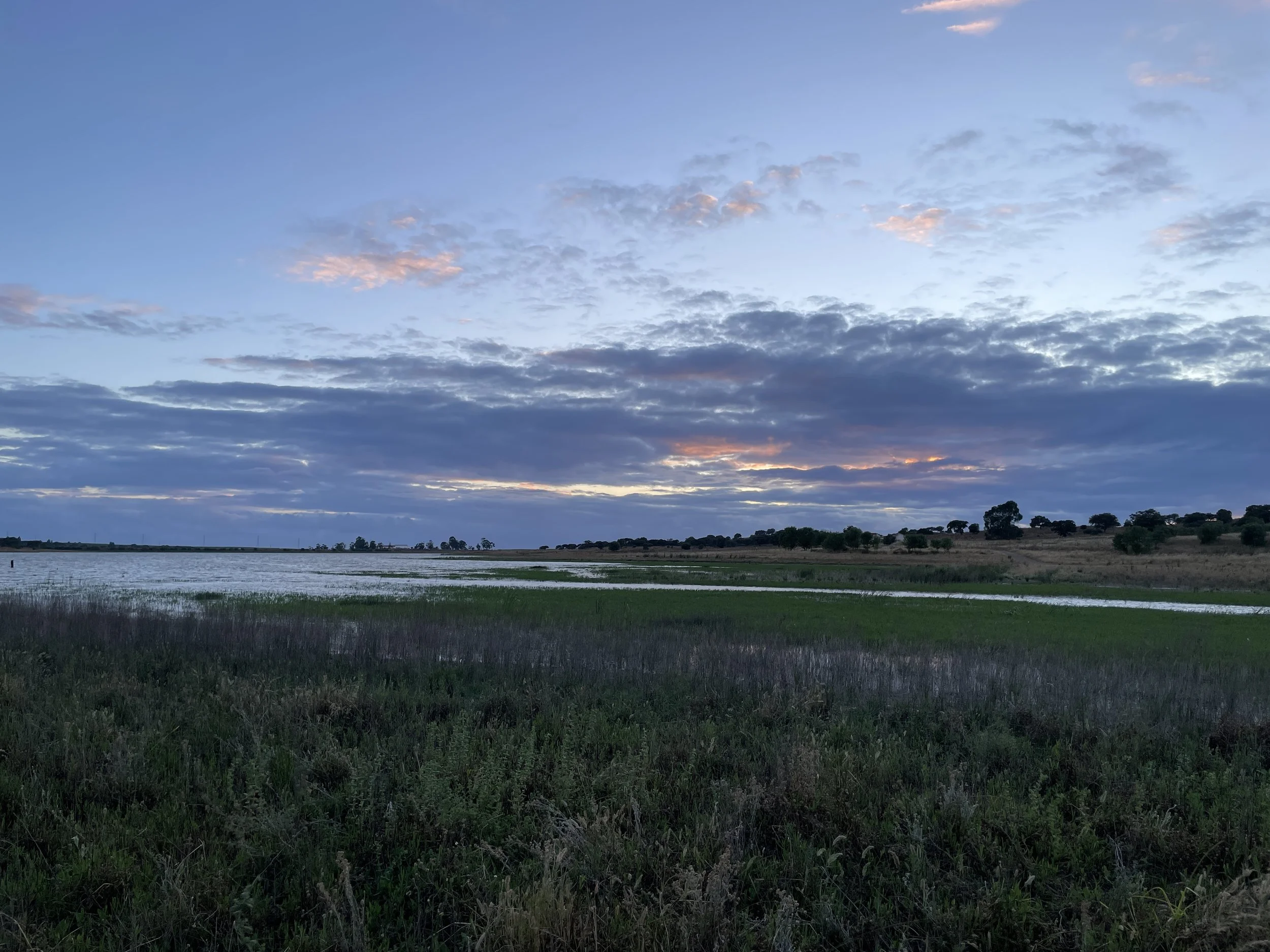 4 - The+Pause+at+the+the+middle+ground+-+where+land+or+the+soil+is+not+owned.JPG