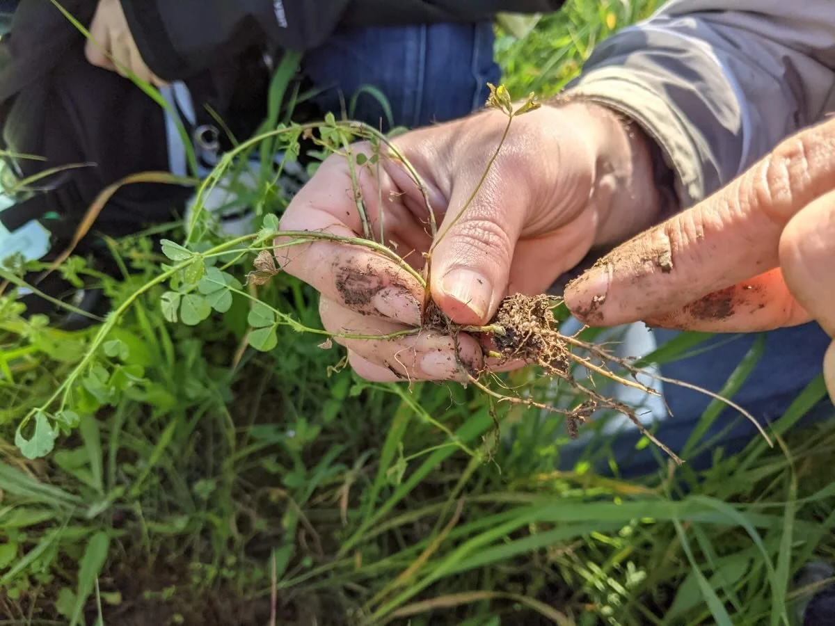 @asfahhamid - Moving forward, my practice feels less like a straight path and more like a slow circling back to what first shifted something in me. Success used to mean producing work that looked complete. Now it feels more like staying attentive, st