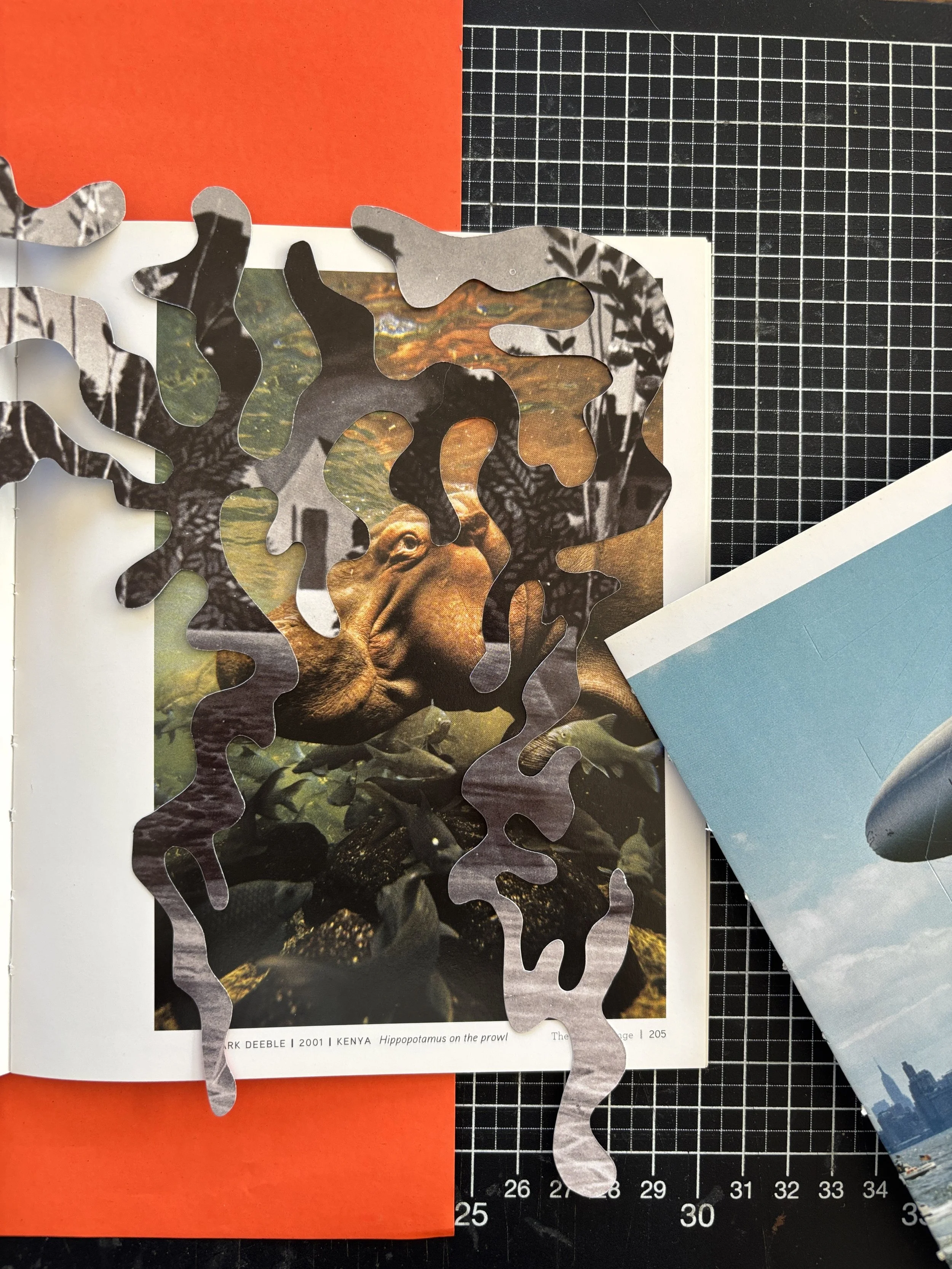 Image+2_Day2_Smith.JPG