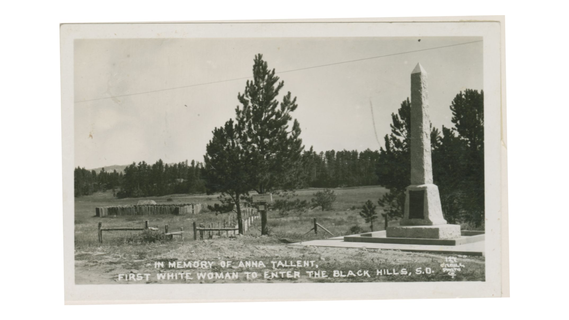 Image_03_Day+5_Morris (1).png