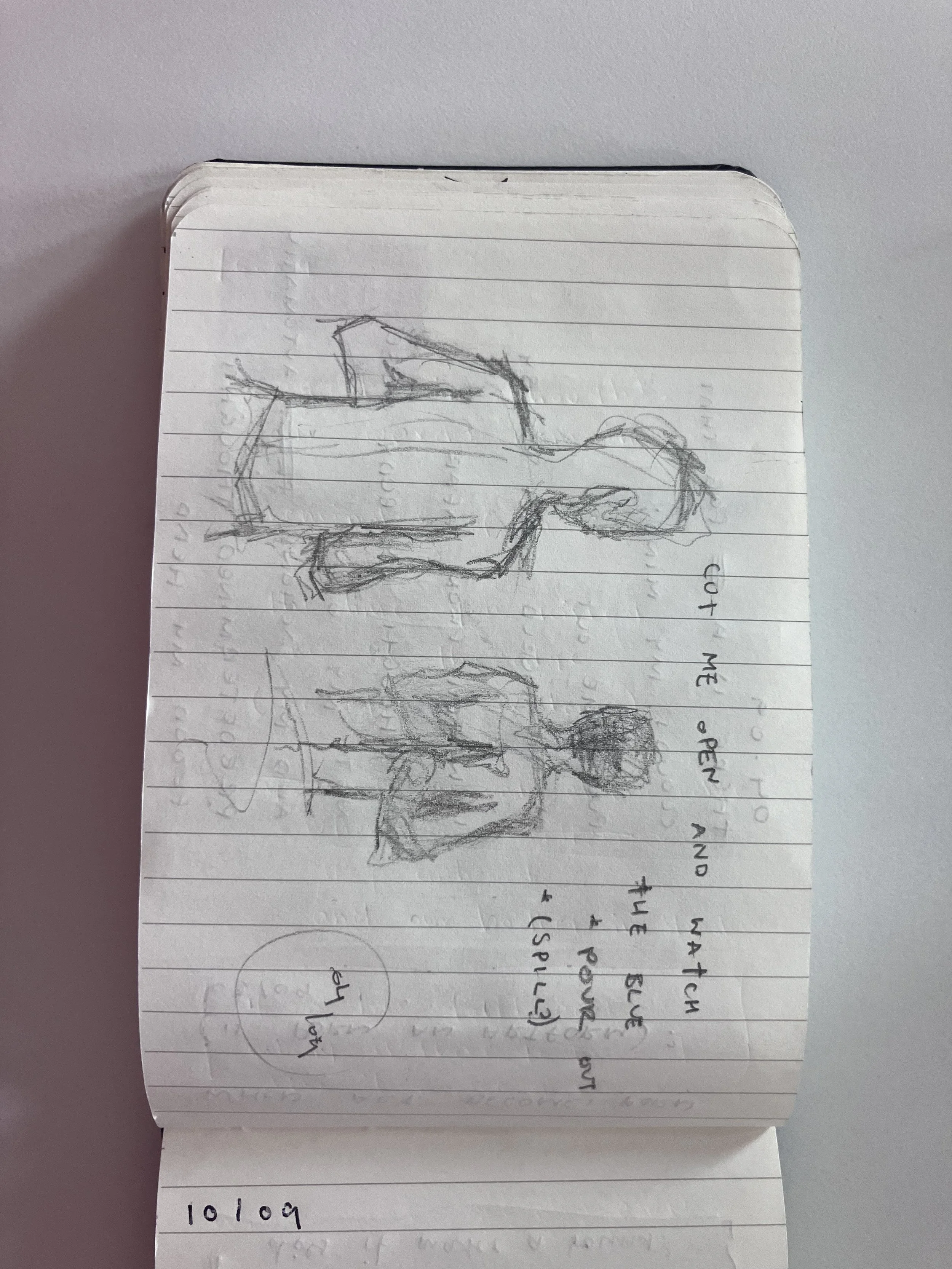 image4_day5_harding.jpeg