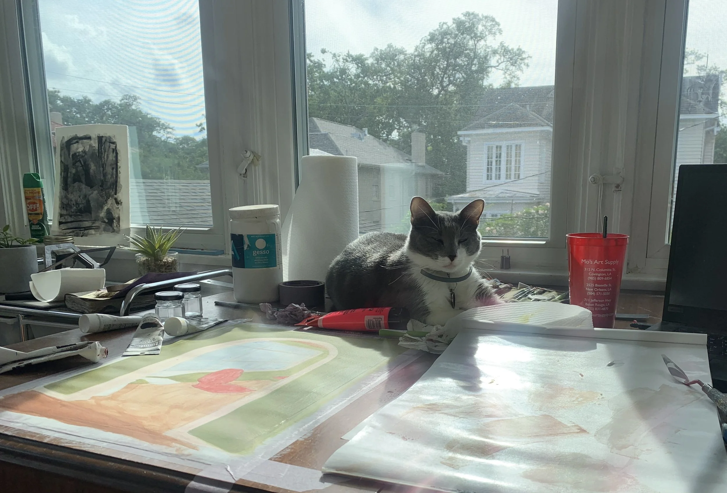 New Orleans Sunroom Studio 2021-22_Jace Ambwani_2 - Jace Ambwani.jpg